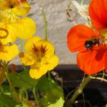 Übergangsverfahren Klasse 7