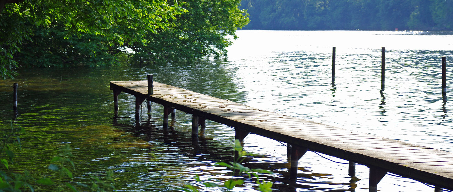 Bild vom Südsteg von Scharfenberg.