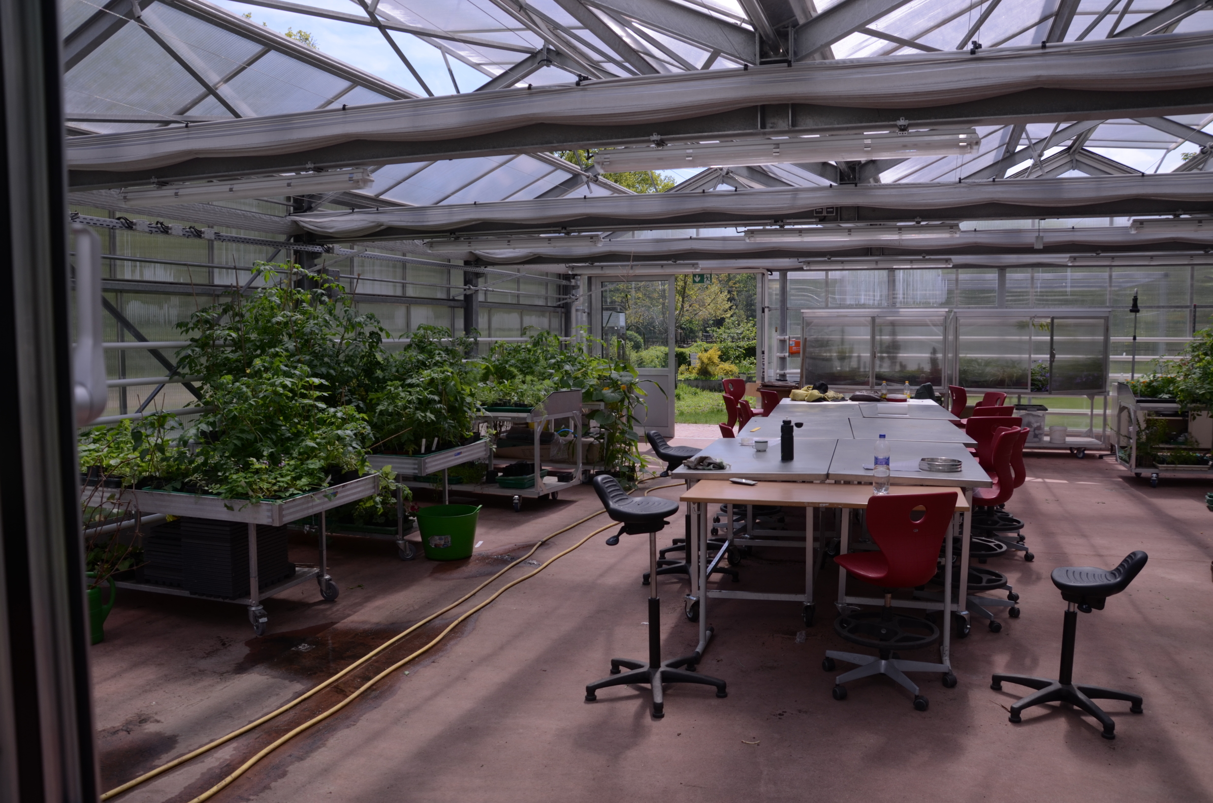 Gewächshaus