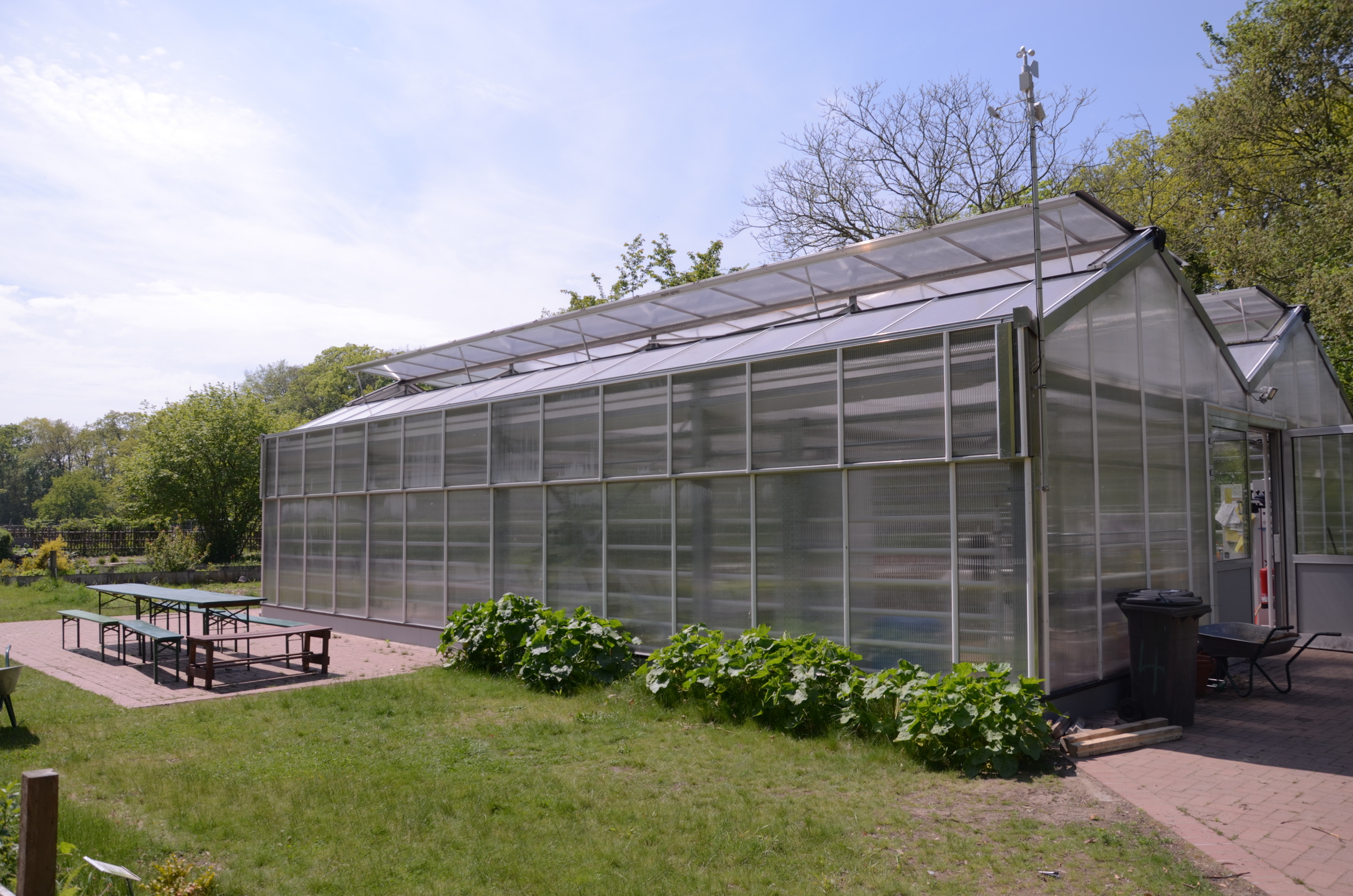Front des Gewächshauses