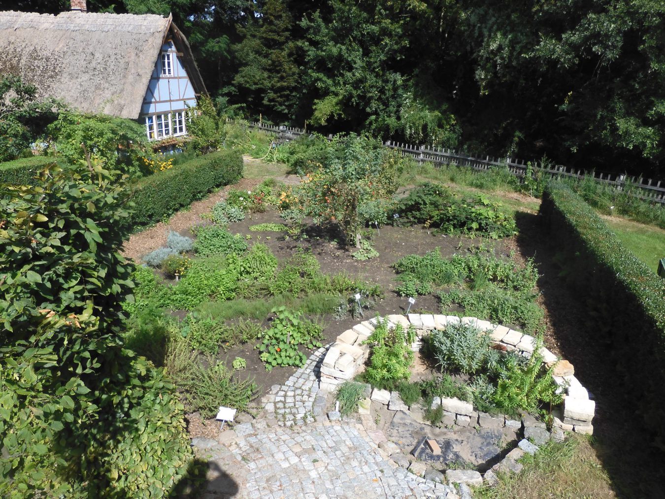 Bild von Scharfenberger Kräutergarten.